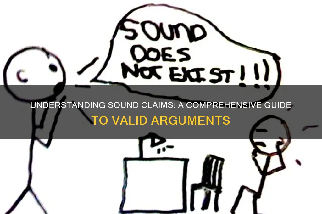 what is a sound claim