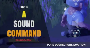 Understanding Sound Commands: Definition, Function, and Practical Applications