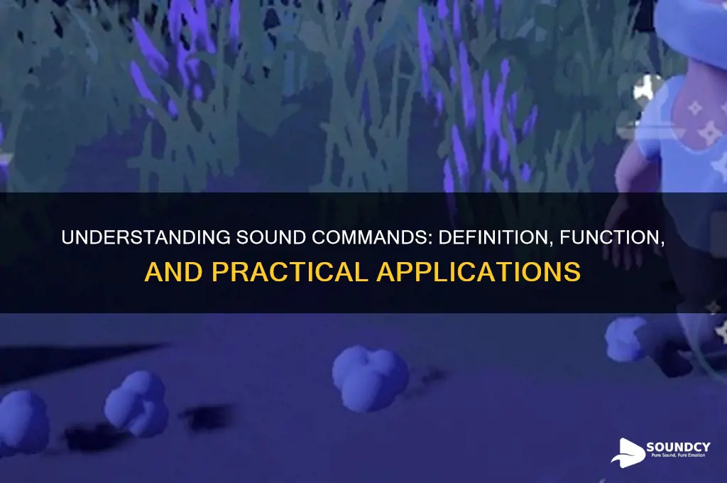 what is a sound command
