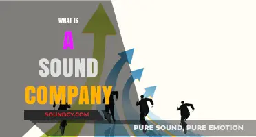 Understanding the Core Qualities of a Sound and Successful Company