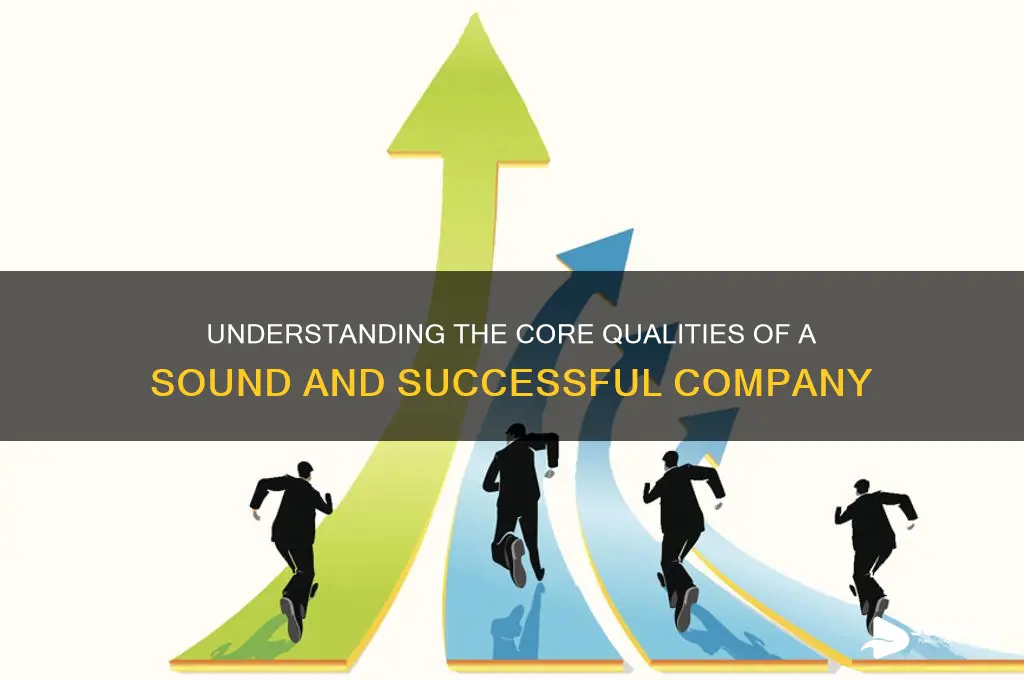 what is a sound company