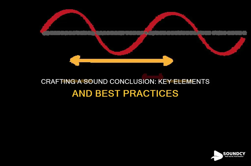 what is a sound conclusion