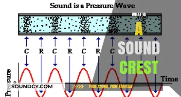 Understanding Sound Crests: Definition, Formation, and Role in Waves