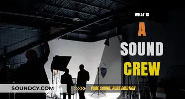 Understanding the Role and Importance of a Sound Crew in Productions