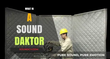 Understanding the Role and Benefits of a Sound Daktor