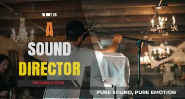 Understanding the Role of a Sound Director in Media Production