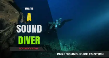 Exploring the Depths: Understanding the Role of a Sound Diver