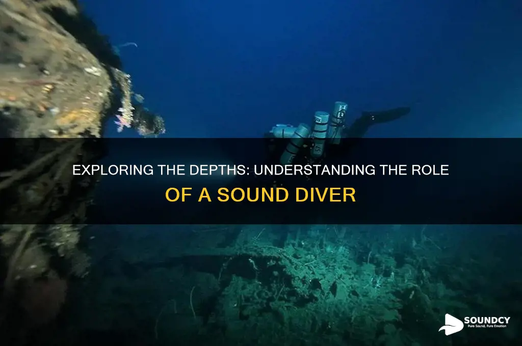 what is a sound diver