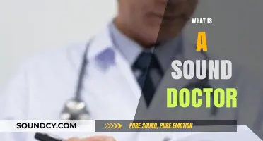 Understanding the Role and Importance of a Sound Doctor