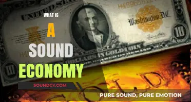Understanding the Foundations of a Sound Economy: Key Principles Explained