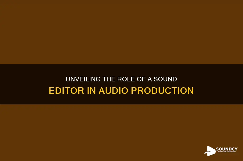 what is a sound editor