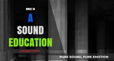 Understanding the Core Principles of a Sound Education System