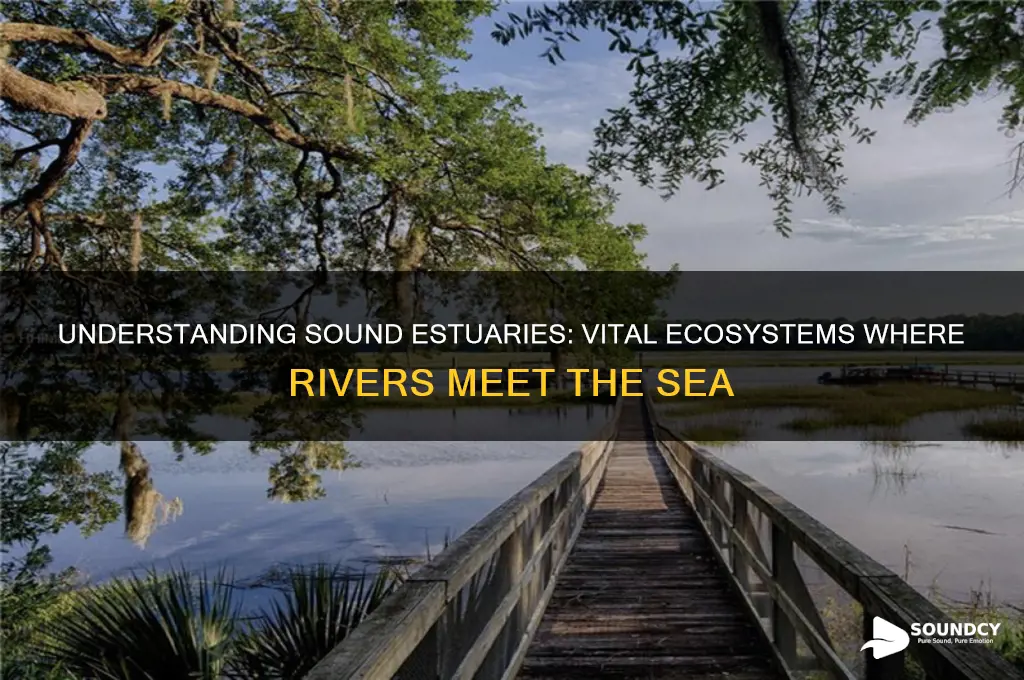 what is a sound estuary