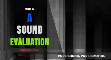 Understanding Sound Evaluation: Key Principles and Practical Applications