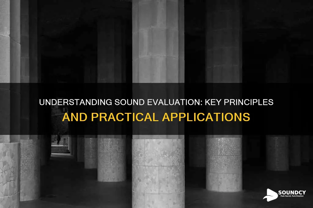 what is a sound evaluation