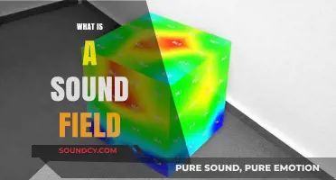 Understanding Sound Fields: A Comprehensive Guide to Acoustic Environments