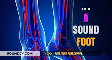 Understanding the Concept of a Sound Foot: A Comprehensive Guide