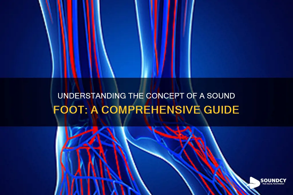what is a sound foot