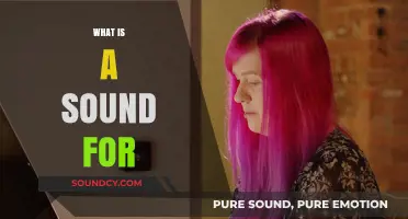 Exploring the Purpose and Power of Sound in Our Lives