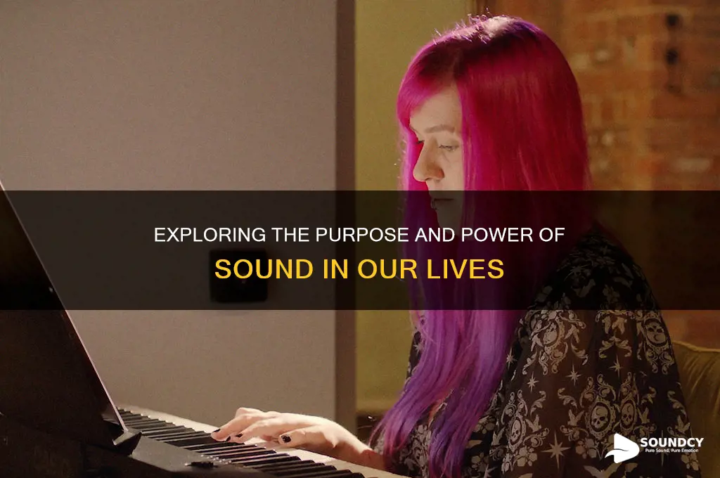 what is a sound for