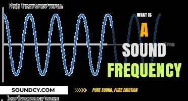 Understanding Sound Frequency: The Science Behind What We Hear
