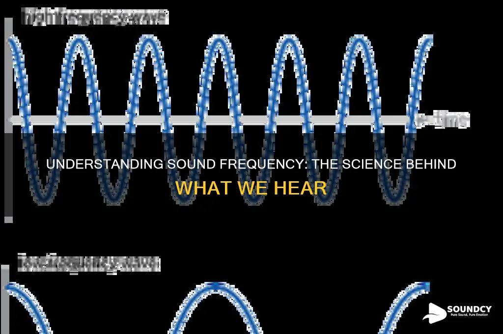 what is a sound frequency