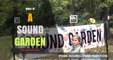 Exploring the Harmony of Nature: What is a Sound Garden?