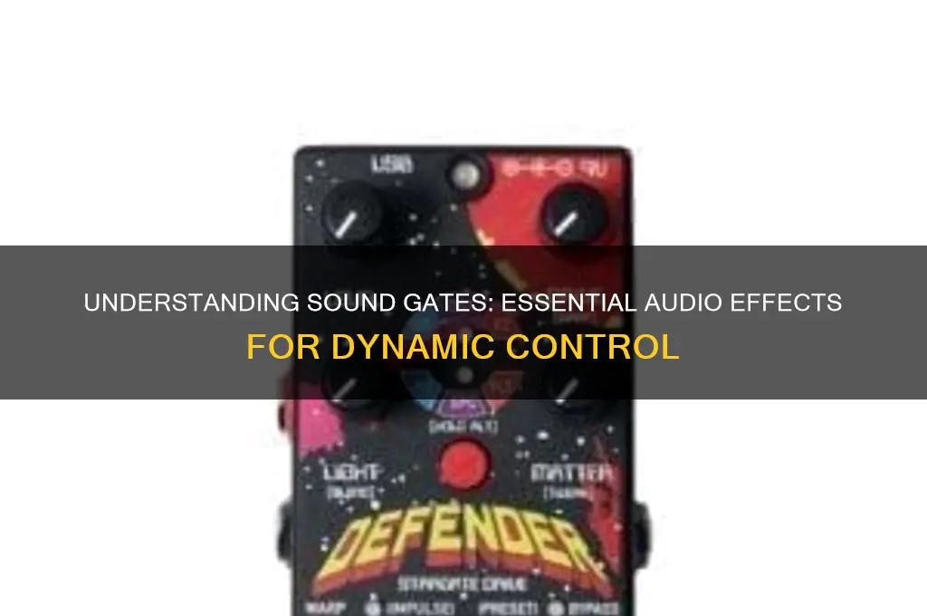 what is a sound gate