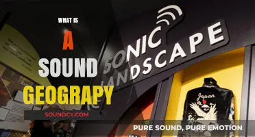 Exploring Sound Geography: Understanding the Sonic Landscape Around Us