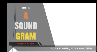 Understanding Sound Grams: A Beginner's Guide to Audio Visualization
