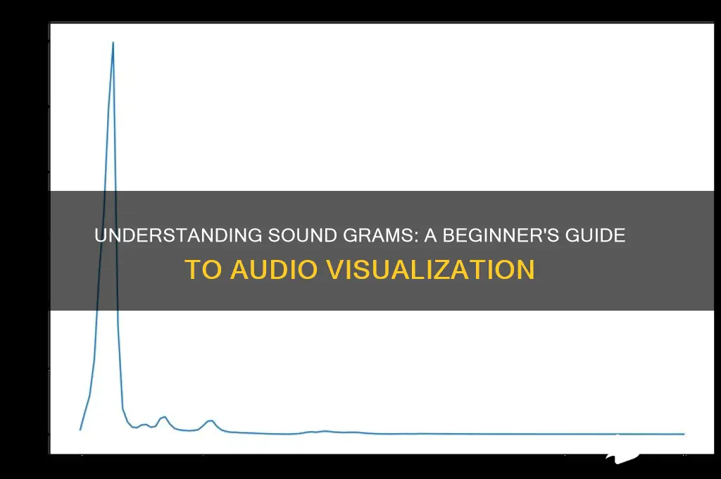 what is a sound gram