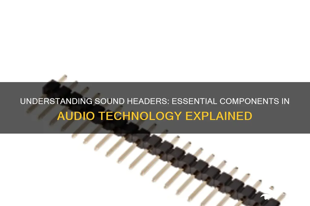 what is a sound header