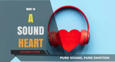 Understanding a Sound Heart: Health, Function, and Wellness Explained