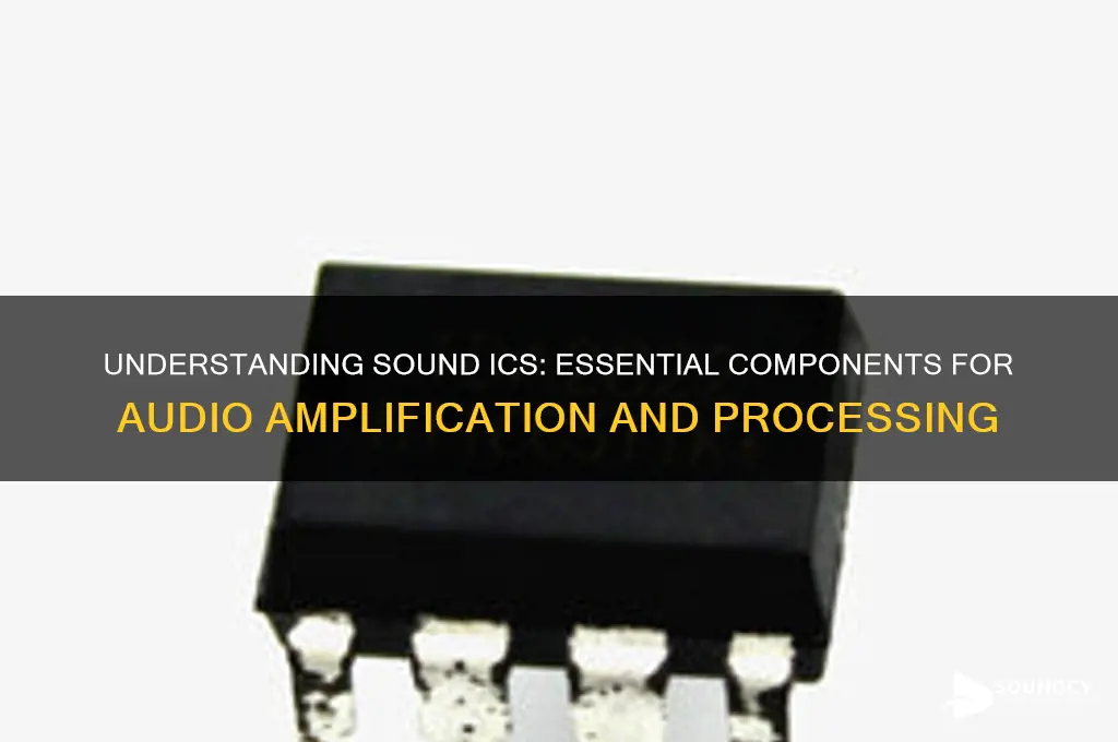 what is a sound ic