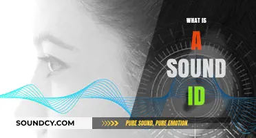 Understanding Sound ID: A Comprehensive Guide to Acoustic Identification
