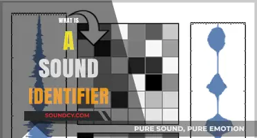 Understanding Sound Identifiers: How They Detect and Classify Audio Signals