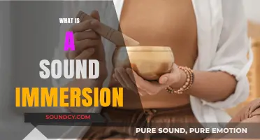 Exploring Sound Immersion: A Deep Dive into Auditory Experiences