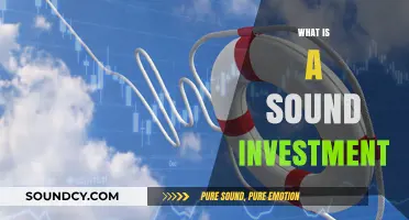 Understanding Sound Investments: Strategies for Long-Term Financial Growth and Stability
