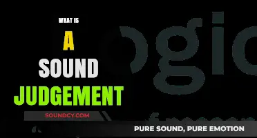 Understanding Sound Judgement: Key Principles for Wise Decision-Making