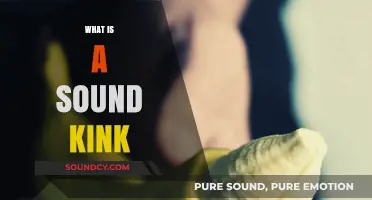 Exploring the Intriguing World of Sound Kink: A Beginner's Guide