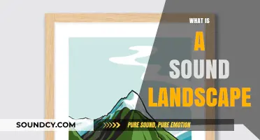 Exploring the Art and Science of Soundscapes in Our Environment