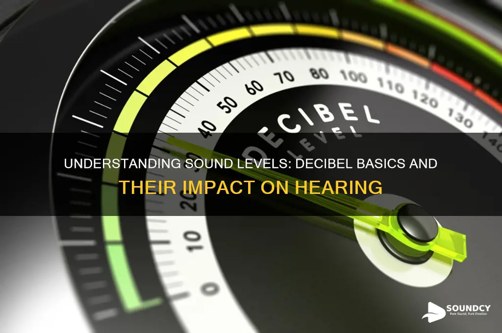 what is a sound level