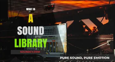 Exploring Sound Libraries: A Comprehensive Guide to Audio Collections