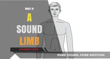 Understanding Sound Limbs: Definition, Importance, and Care Essentials