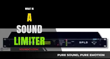 Understanding Sound Limiters: How They Control Noise Levels Effectively