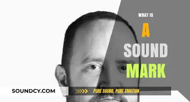 Understanding Sound Marks: Unique Audio Branding for Modern Businesses