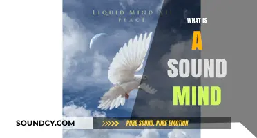 Understanding the Essence of a Sound Mind: Clarity, Peace, and Balance