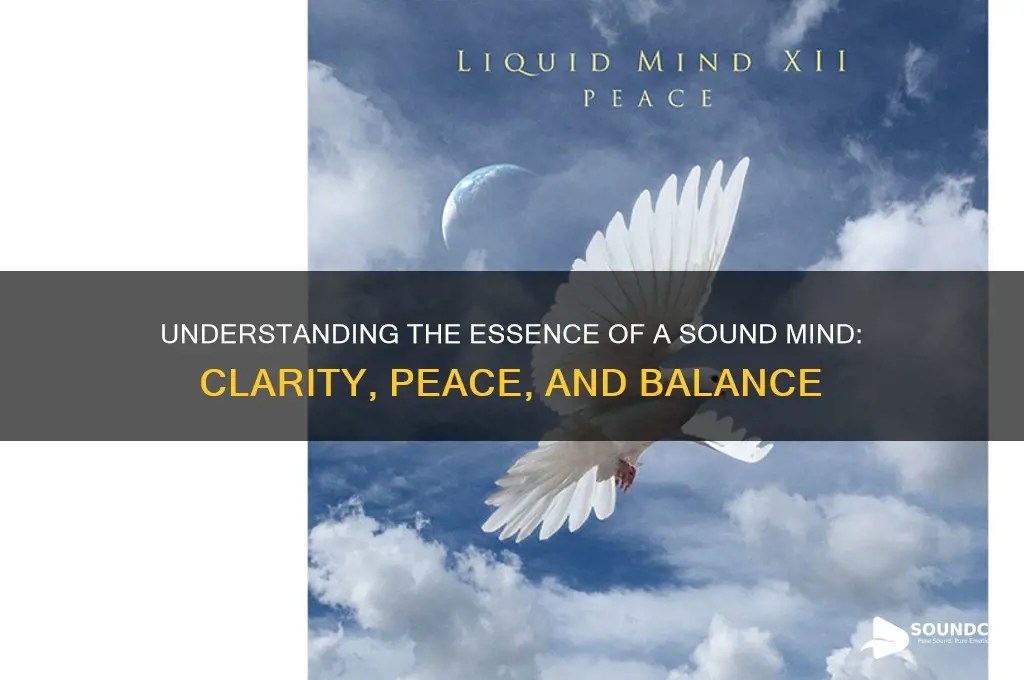 what is a sound mind