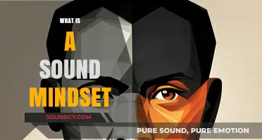 Cultivating a Sound Mindset: Strategies for Mental Clarity and Resilience