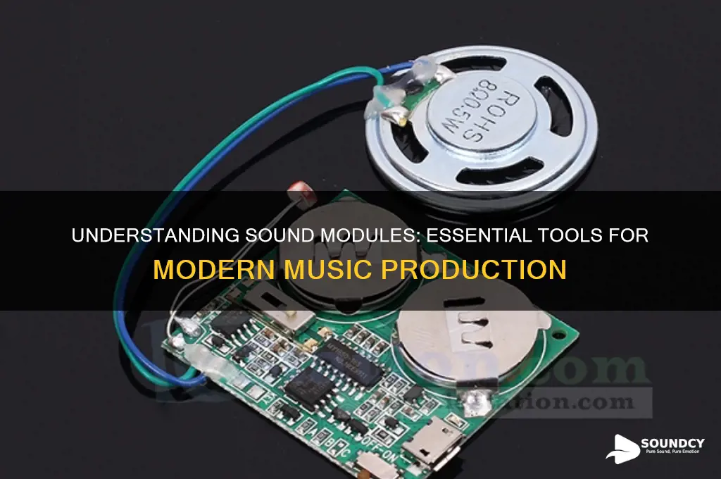 what is a sound module